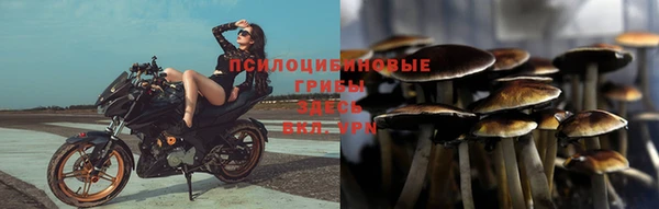 твердый Абаза