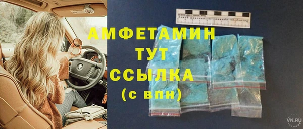 твердый Абаза