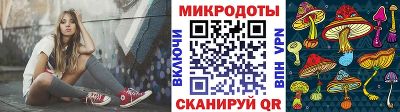 Псилоцибиновые грибы Psilocybe  Вологда 